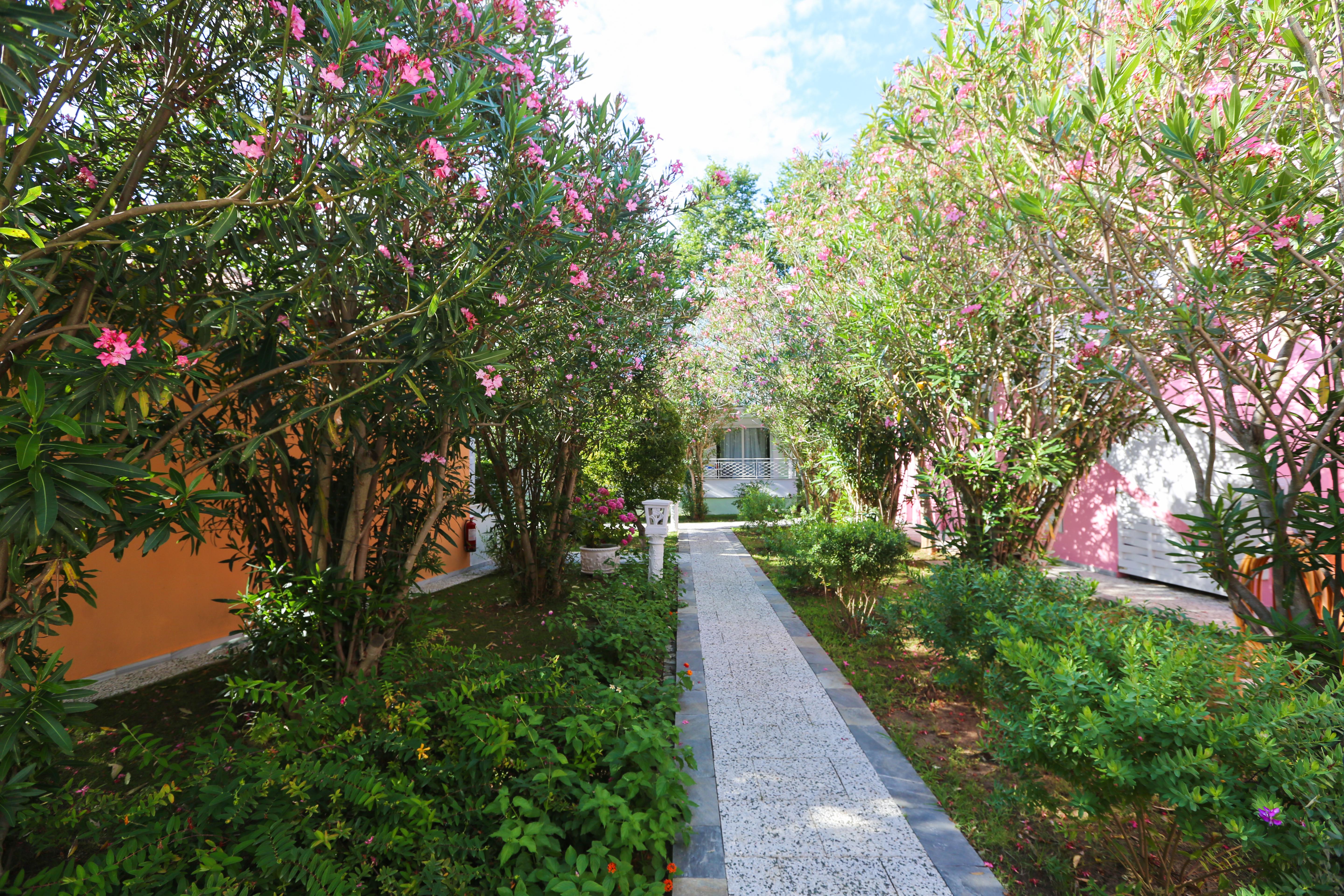 Mandraki Village Boutique Hotel Koukounaries Ngoại thất bức ảnh